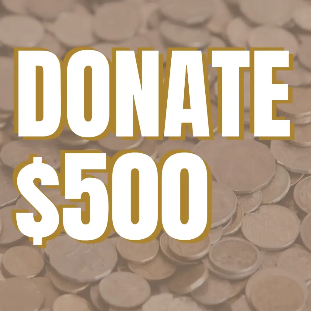 $500 Donation
